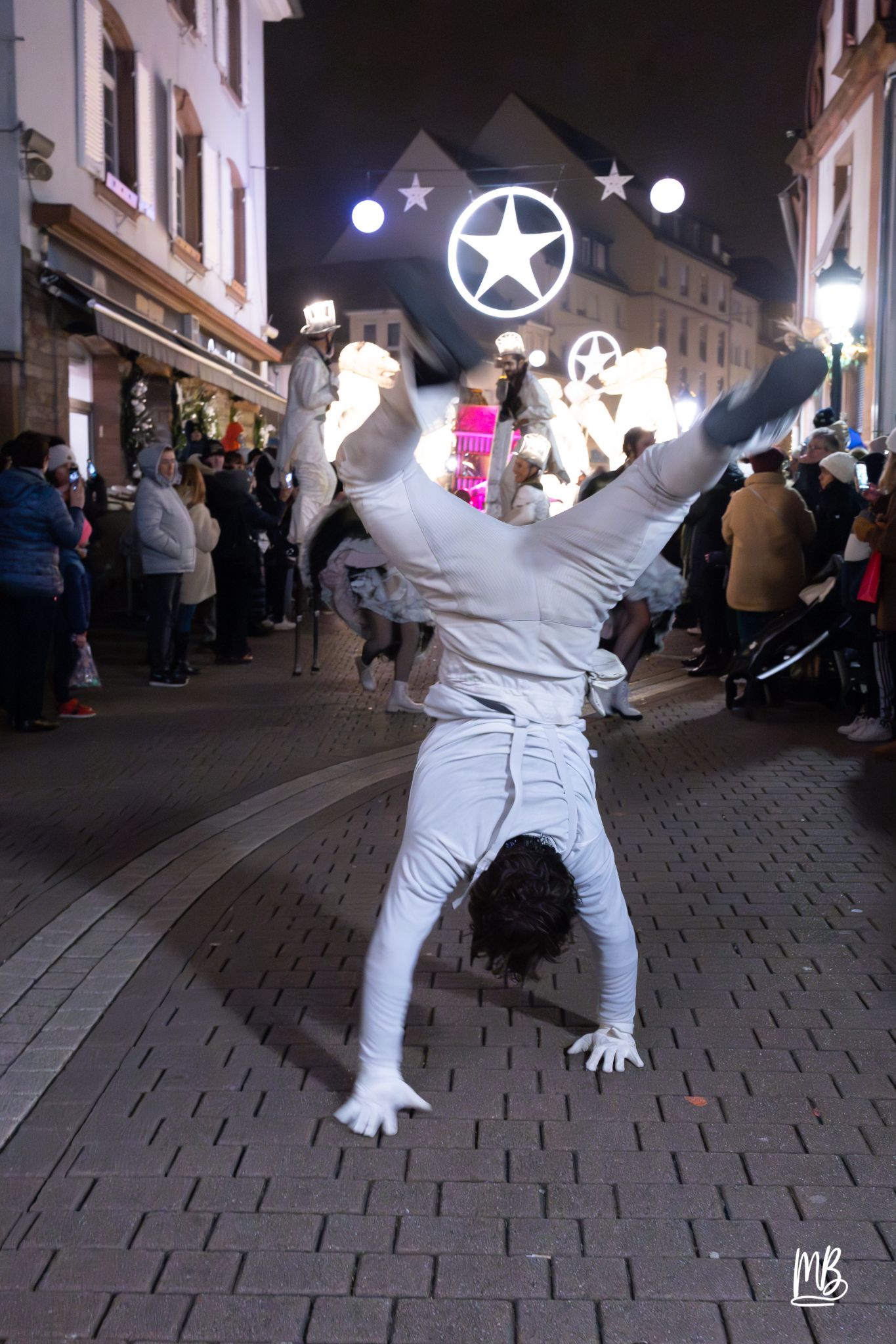 MB2024 CIE REMUE MENAGE(Gueule d'ours) (63 sur 107)